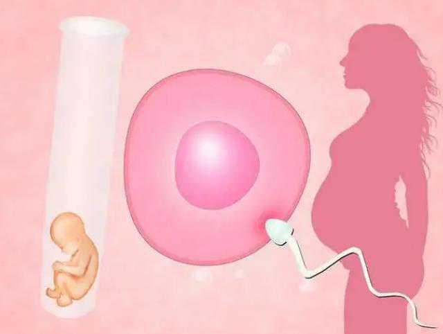 杭州试管婴儿属于代孕吗|秦皇岛供卵试管（沈阳菁华不孕不育医院怎么样）