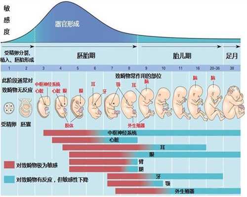 泰国三代试管选择性别多少钱_捐卵代孕哪家好