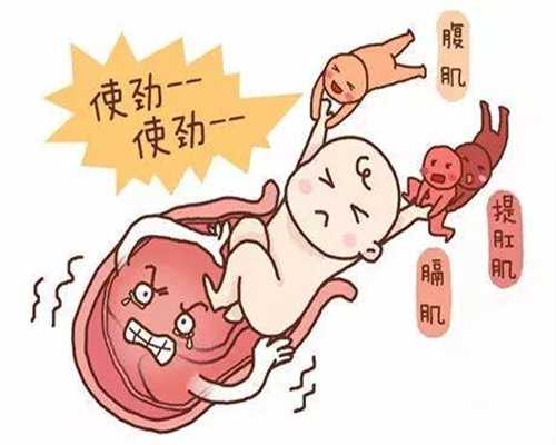 杭州试管助孕包性别价格_孕期咳嗽厉害能做雾化