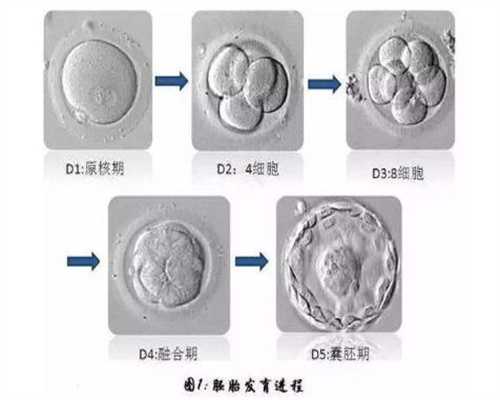 杭州借腹生子市场价多少钱：怀孕孕酮低怎么保