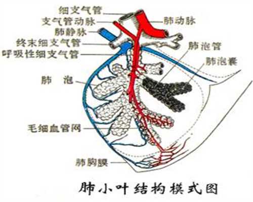 <strong>杭州代怀孕的成功案例哪家最多：冻胚与鲜胚的</strong>