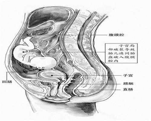关于供卵的一些问题_杭州卵巢早衰供卵助孕_女人捐卵