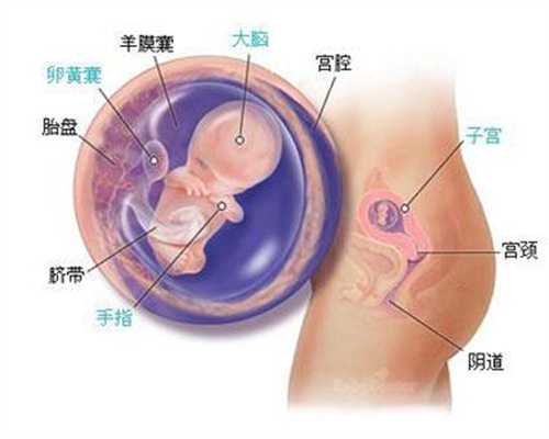 供卵助孕步骤_杭州供卵生的孩子像自己么_试管婴儿真的让人害怕吗，为什么？