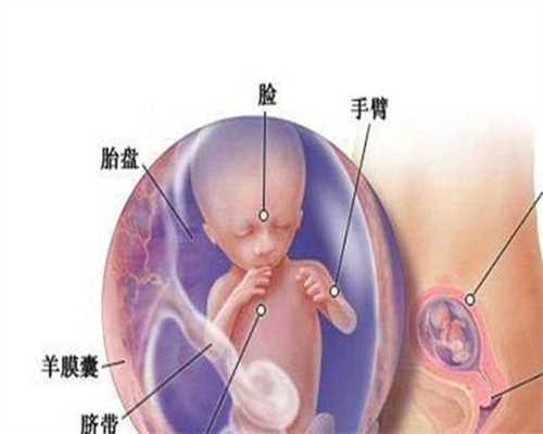 杭州高龄用供卵试管成功率_杭州供卵自怀的程序_FSH高还可以做第三代试管婴儿