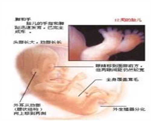 杭州金贝供卵试管的价格_杭州哪里有供卵试管婴儿_育儿：如何做试管婴儿？关
