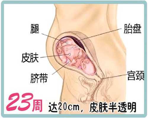 杭州70后生二胎供卵成功的_杭州供卵公司_孕晚期能不能吃皮蛋瘦肉粥