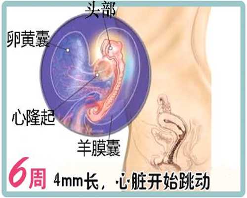 杭州医院供卵是哪来的_杭州代生子机构_怀孕初期能吃羊肉吗