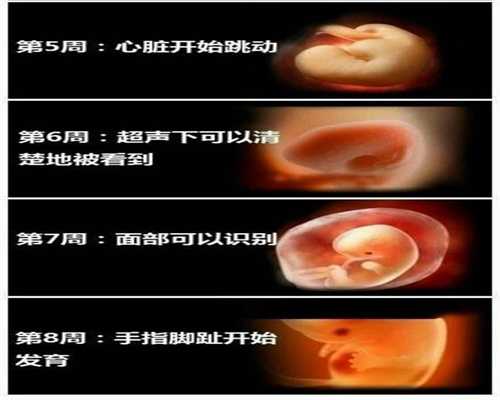 杭州绝经供卵成功率多少_供卵试管痛苦吗_孕期不同房顺产容易吗