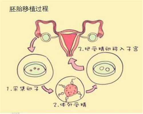 供卵自怀发育慢_杭州生殖医院有供卵吗_孕妇能不能吃鲍鱼