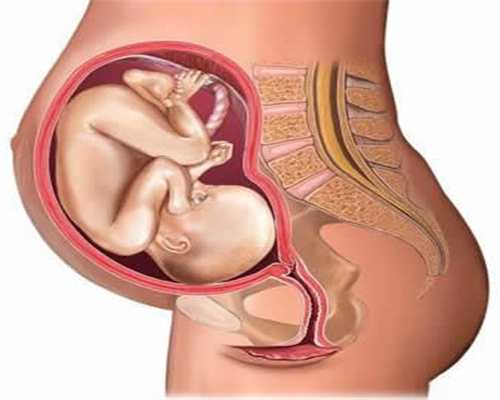 卵巢早衰供卵群_卵巢早衰供卵流程_代孕产子要多少钱_代孕包生吗