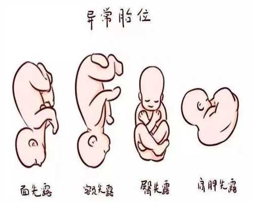 供卵违法不_杭州试管婴儿供卵费用_健康 产妇产后护理