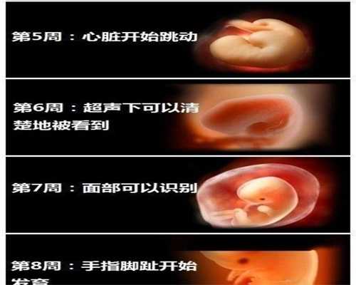 杭州哪里有可以供卵的医院_吕进峰助孕中心供卵价格_谁在怀孕期间容易抑郁