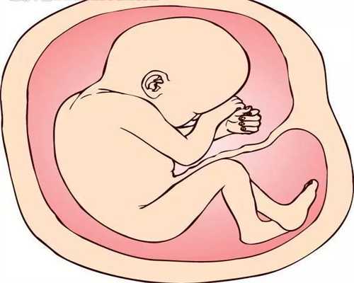 杭州二胎供卵生的孩子能接受吗_卵巢早衰供卵试管婴儿_产妇吃四季豆_产妇能吃