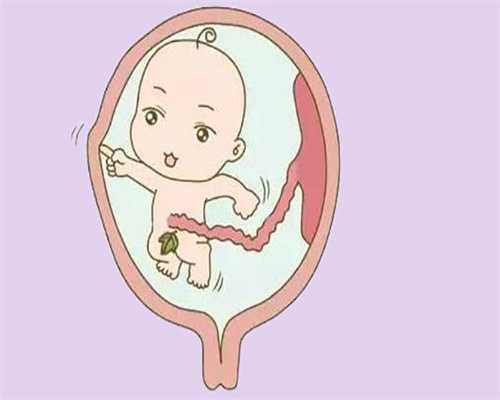 杭州三代供卵试管_多囊卵巢做供卵试管婴儿_为什么胎儿不会淹没在羊水中