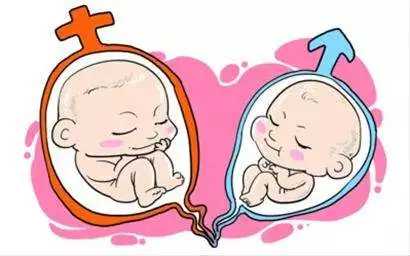 捐卵子流程[aa69助孕河北]+泰国试管婴儿选择男女吗