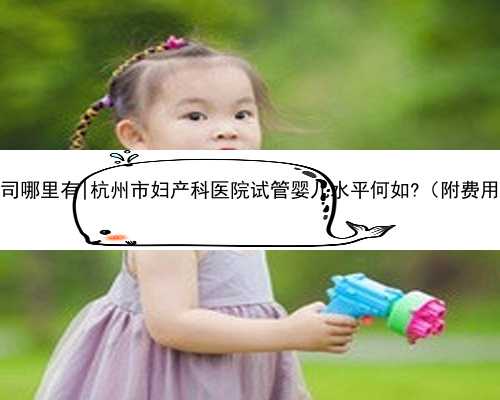 杭州代孕公司哪里有|杭州市妇产科医院试管婴儿水平何如?（附费用与成功率）
