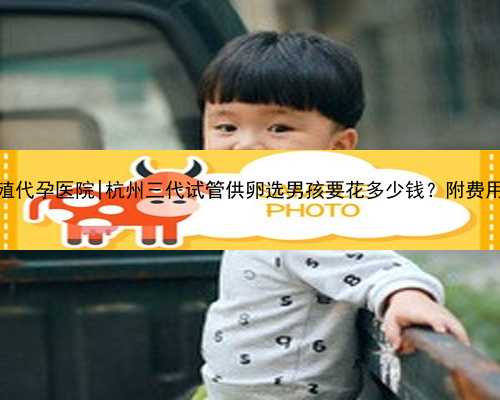 杭州生殖代孕医院|杭州三代试管供卵选男孩要花多少钱？附费用详情？